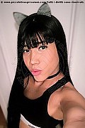 Oviedo Trav Hillary Hilton  0034678212479 foto selfie 2